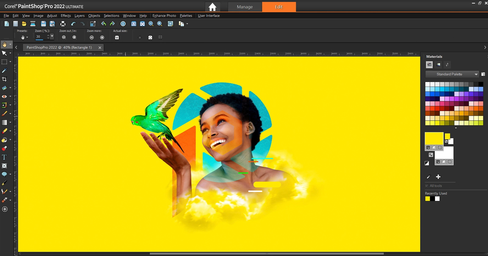 Corel PaintShop Pro Crack1