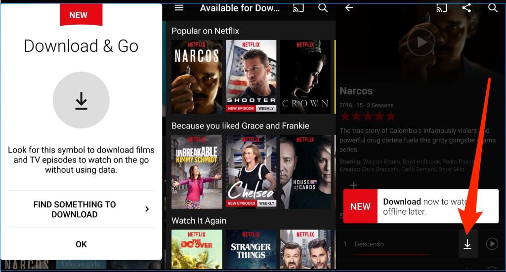 Netflix Downloader Crack