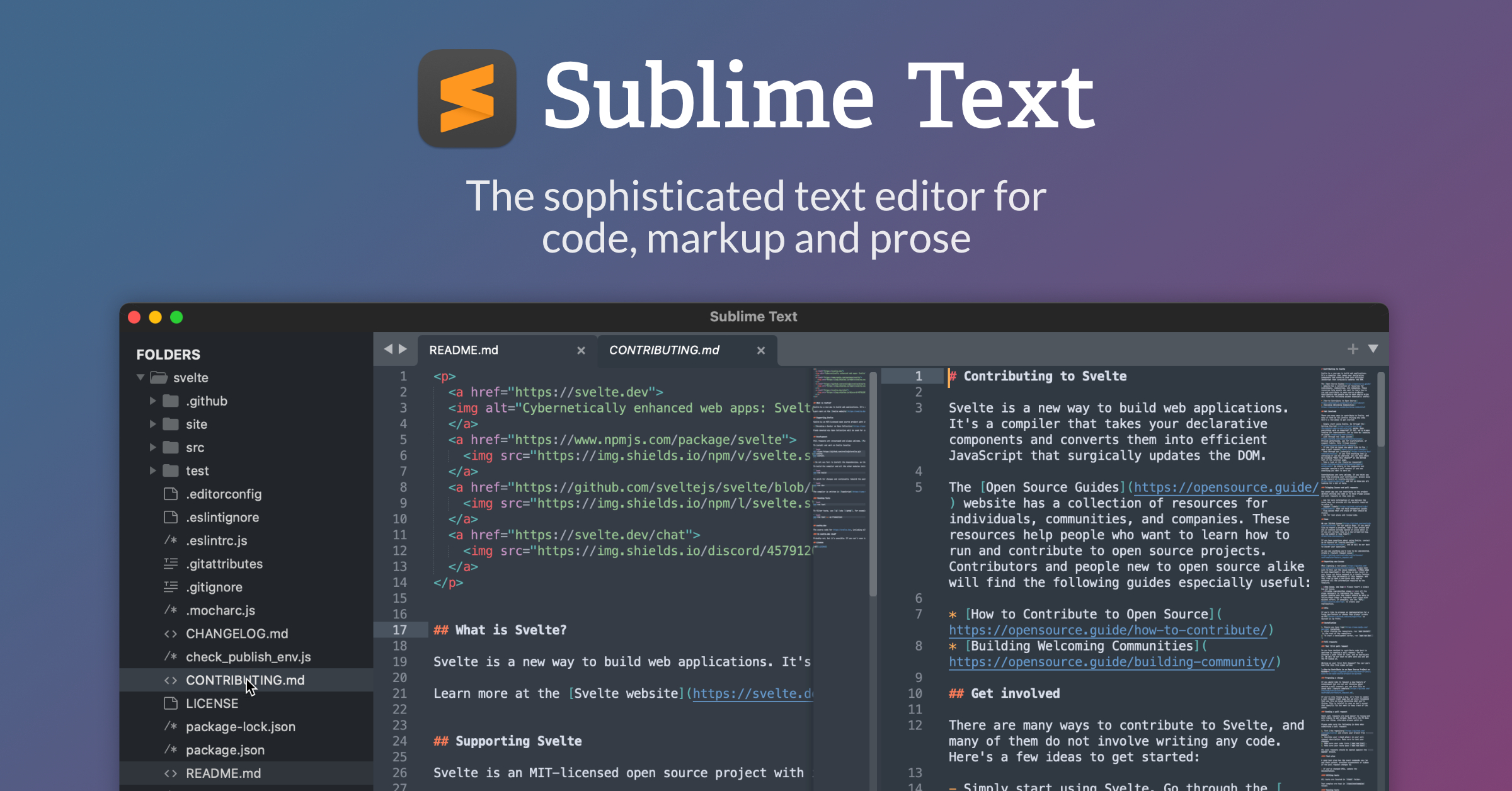 Sublime Text Crack