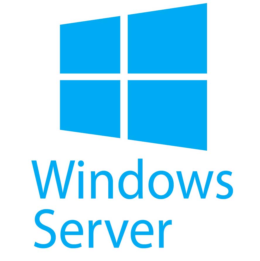 Windows Server Crack Logo