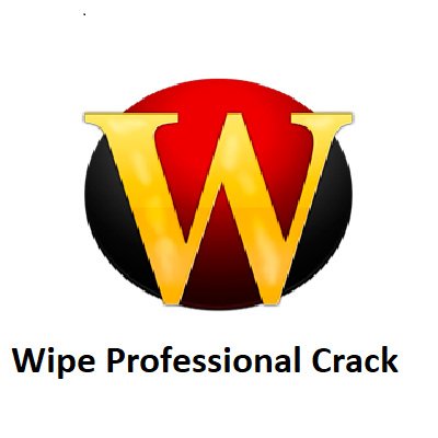 Wipe Professional Crack Logo