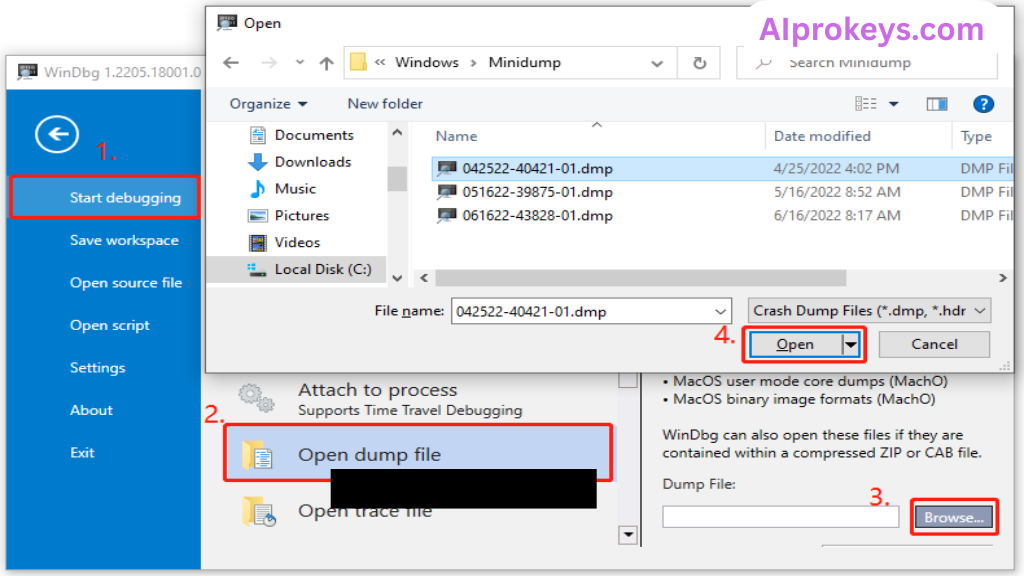 Acer Dump File Full Download