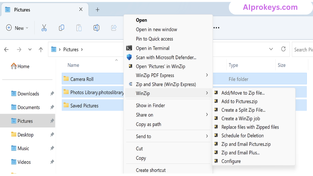 WinZip Pro Free Download